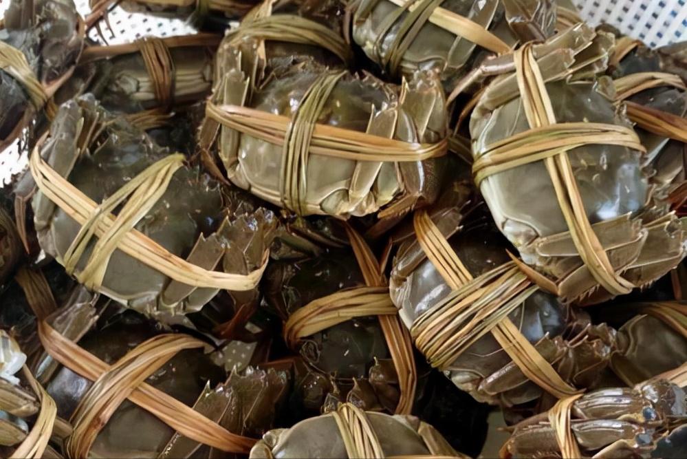 螃蟹哪个地区的最好吃,中国的螃蟹有多少种哪种最好吃