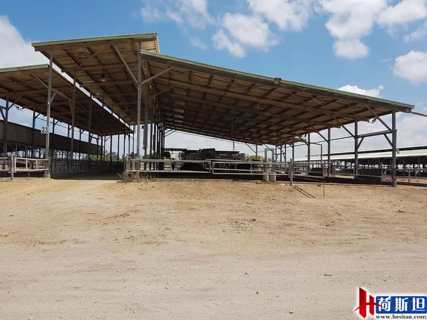 以色列实战经验:热应激管理4大关键点夏季疾病防控