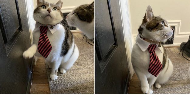 新冠病毒国外怎么防控,新冠病毒国外防控