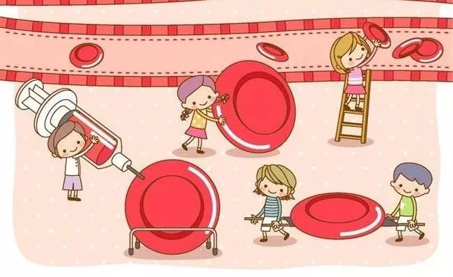 健康解密新陈代谢,日本健康促进法