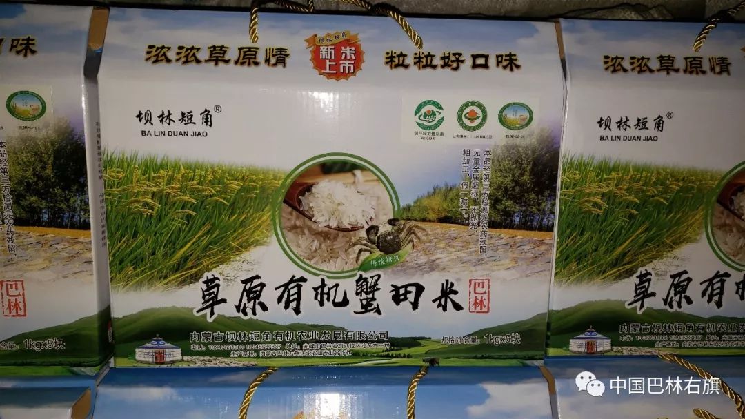 内蒙古巴林右旗的草原美景,赤峰巴林右旗旅游风景区