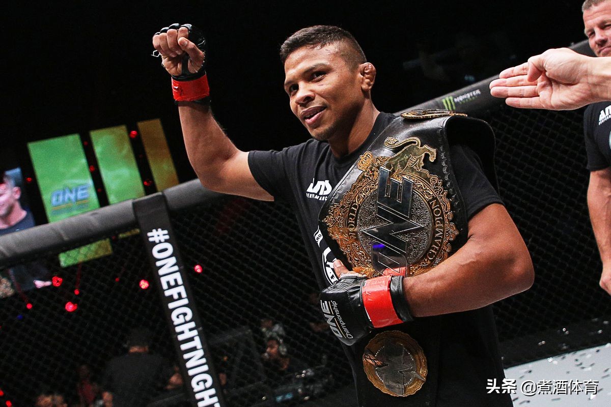 世界冠军大揭秘,世界冠军深度解析