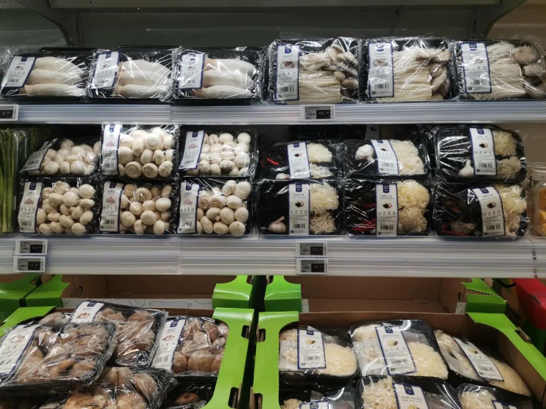 不靠会员费，另辟蹊径的麦德龙PLUS从哪挣钱？