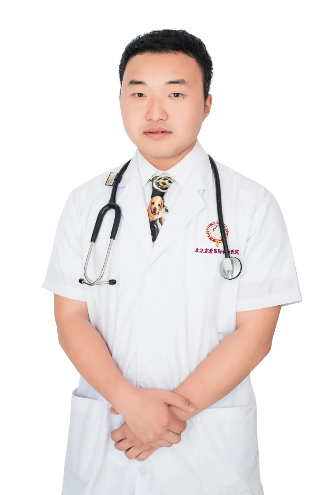 猫咪脂肪肝黄疸的真实经历,猫咪脂肪肝在家治疗方法