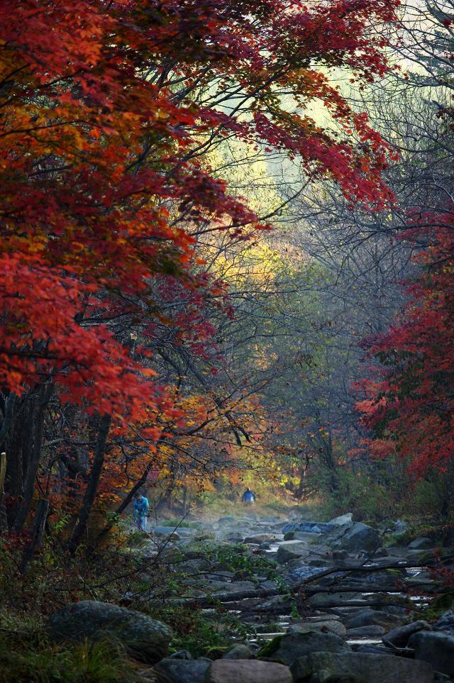 十一沿途风景,十一去红叶谷的景致