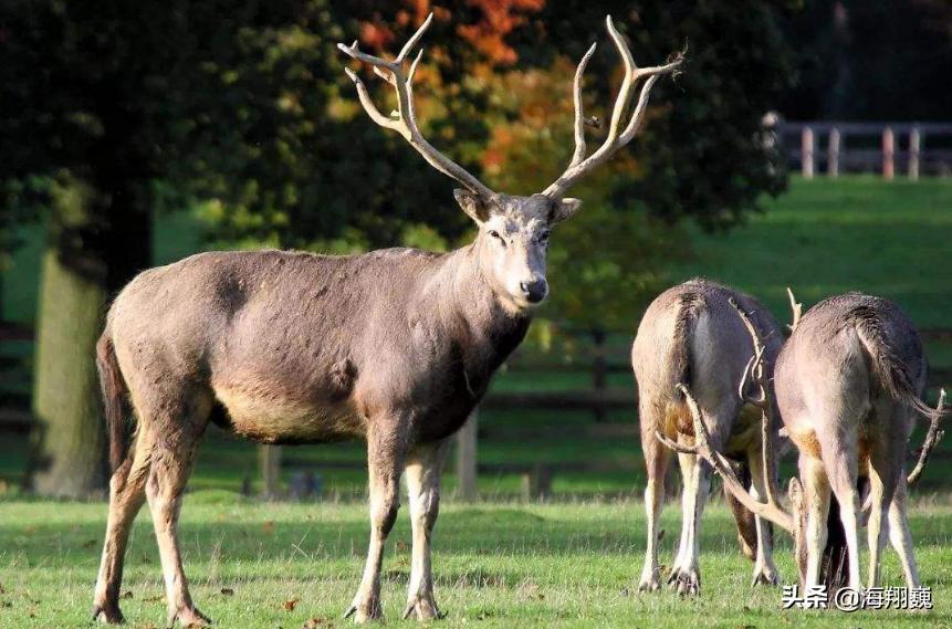 山海经第五卷小说,山海经第五篇