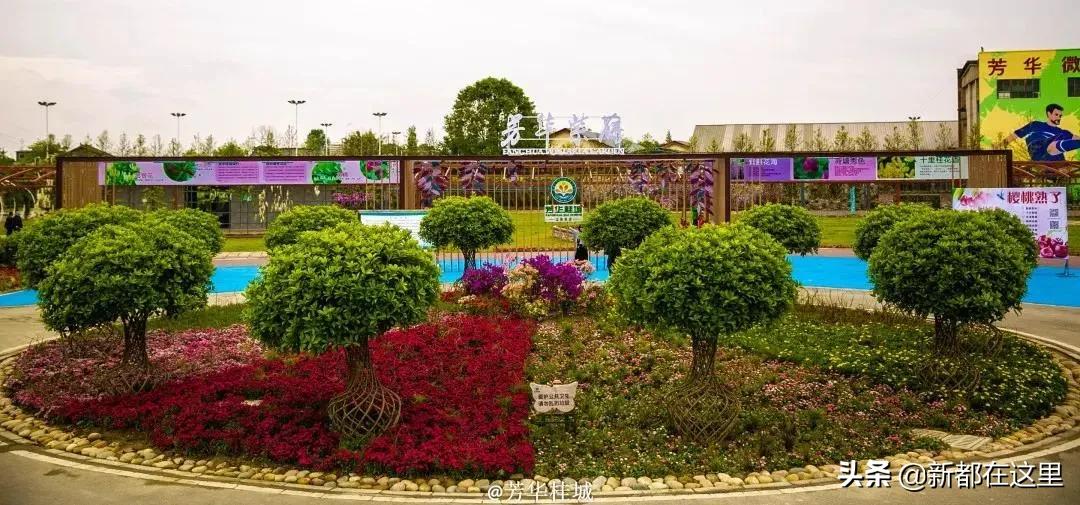 这才是9月最值得去的地方,4月最值得去的地方