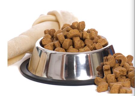 贵宾犬吃什么牌子的粮,贵宾犬吃什么狗粮合适