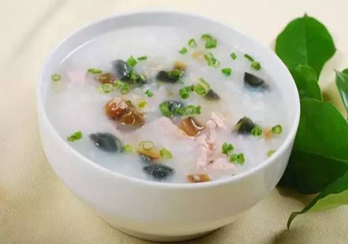 家有爱犬马犬,幼犬3个月大型犬怎么喂养