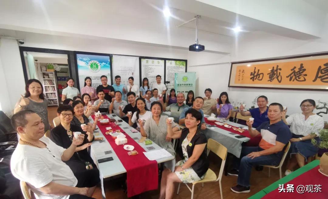 七子饼茶和沱茶,七子饼茶生茶好还是熟茶好