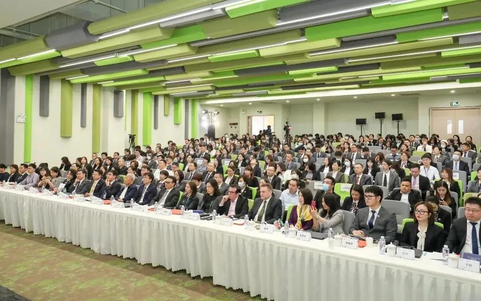 国内外教育大咖,国际教育大咖