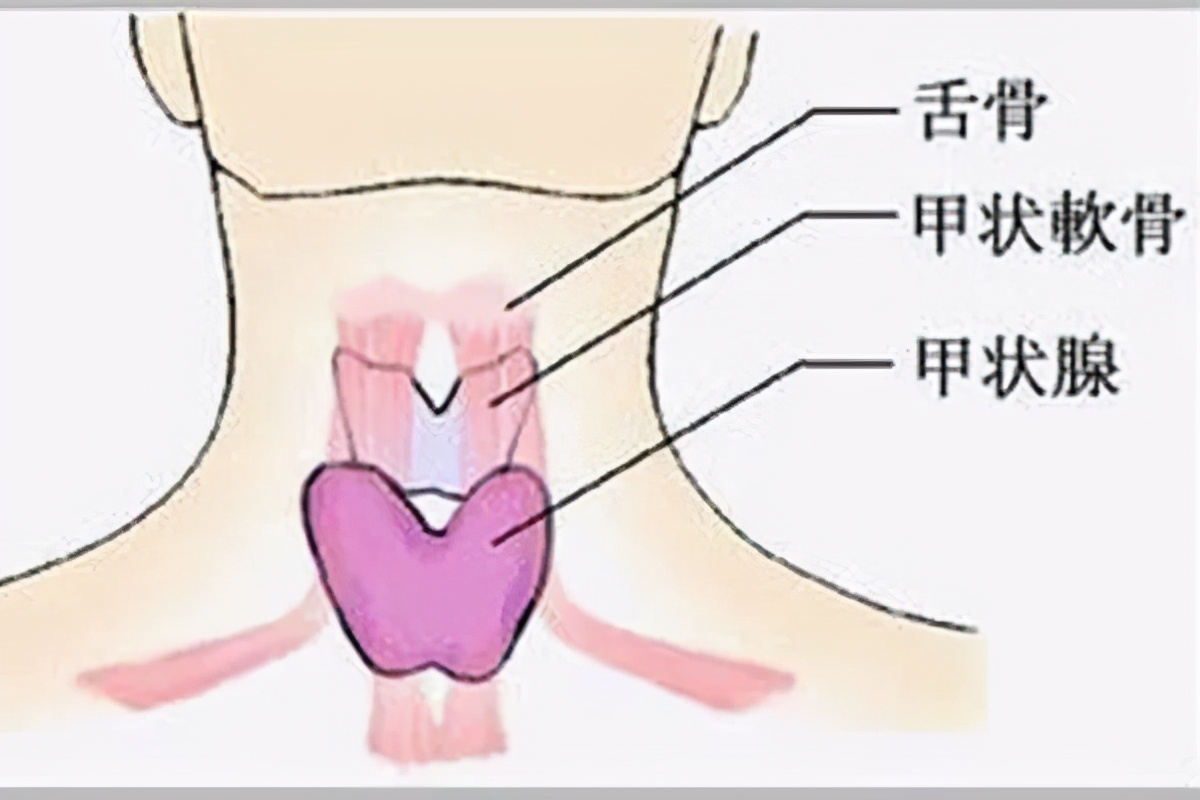 甲状腺影响情绪怎么处理,甲状腺影响睡眠怎么办