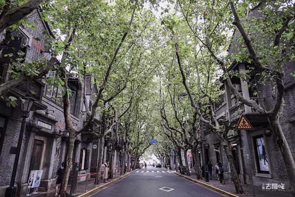 上海国庆小众旅行攻略路线图,上海出发国庆旅游攻略推荐