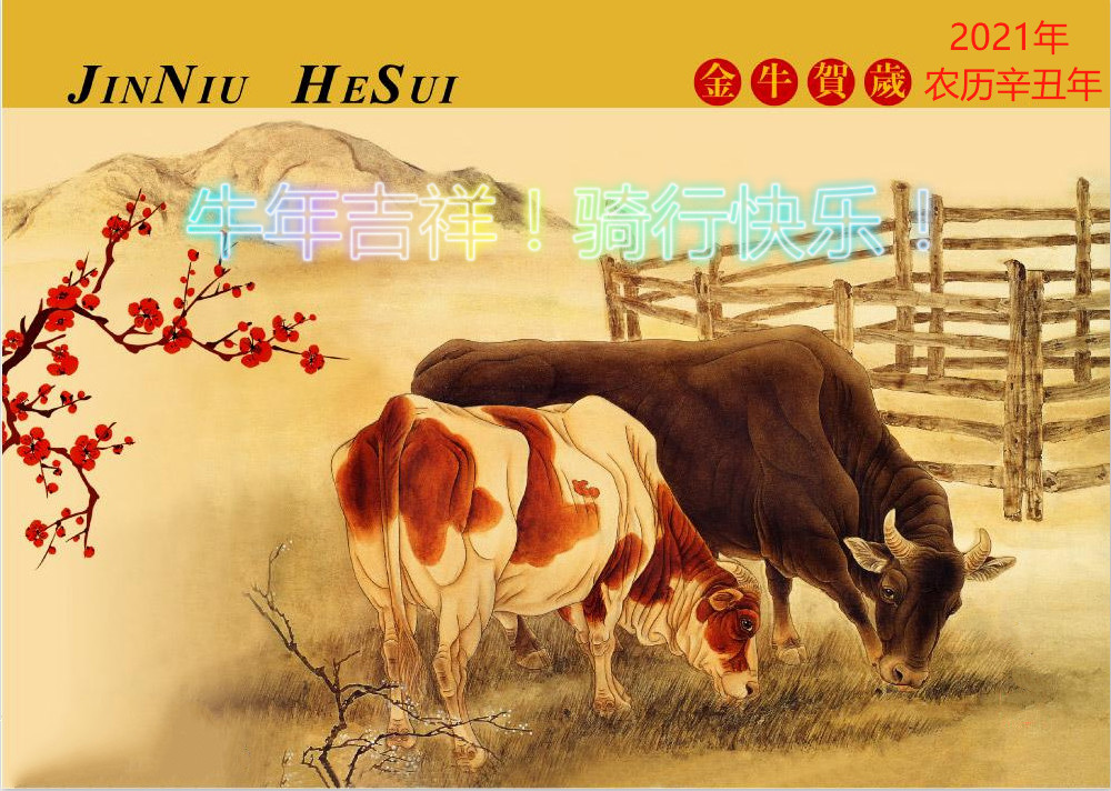 光阳赛艇s350点评,佛沙350巡弋300和光阳s350怎么选