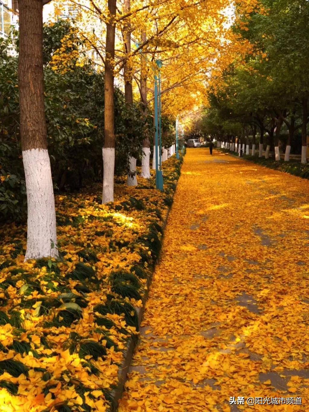 仁恒楼盘最新房价,仁恒楼盘值不值得买