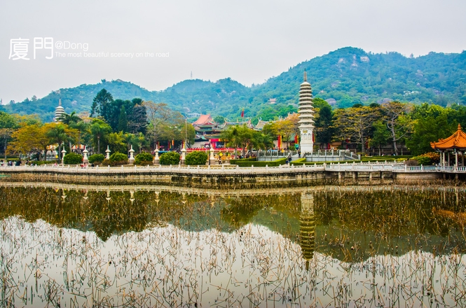 海上花园鹭岛行,海上花园鹭岛城市