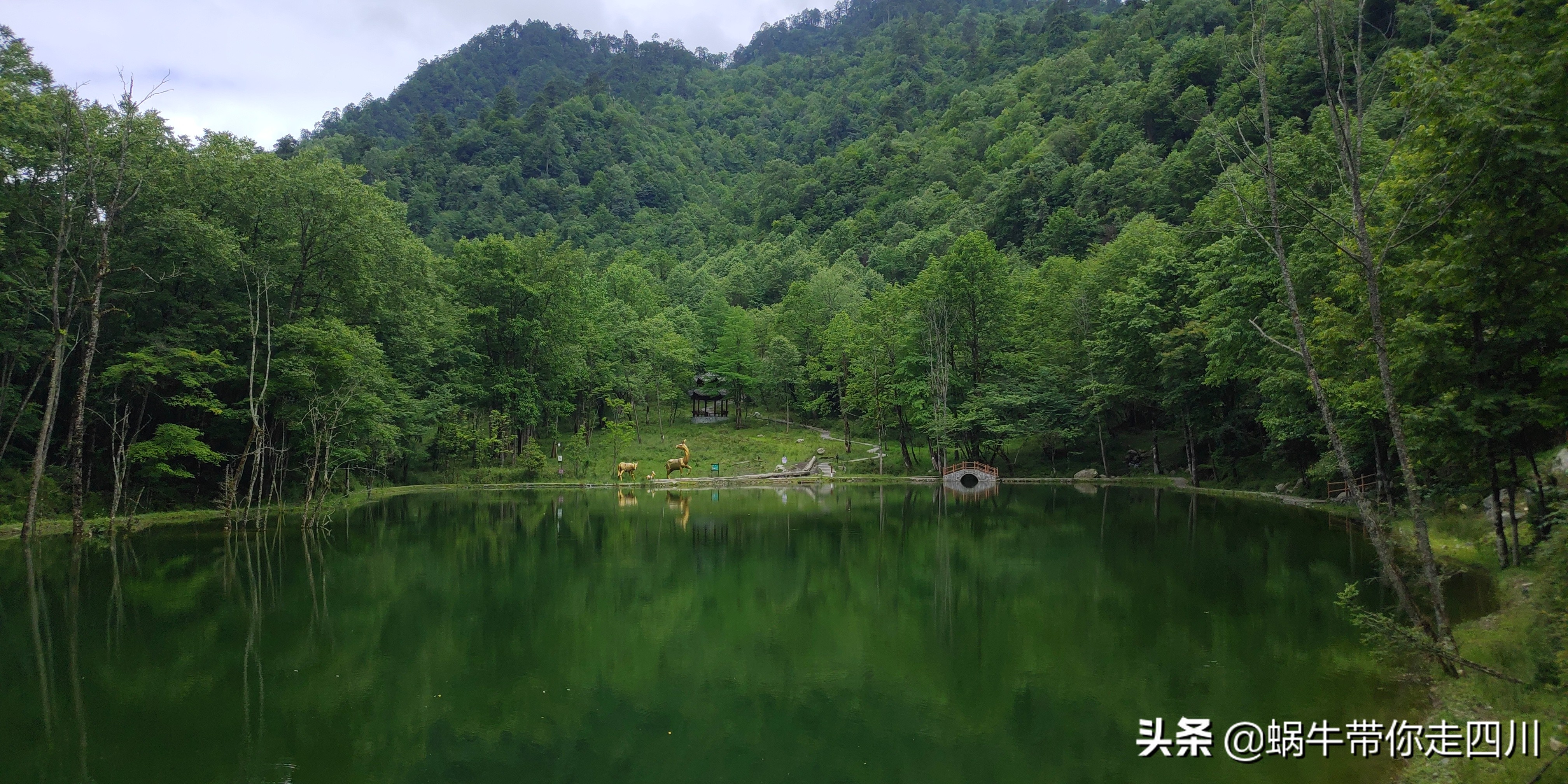 一家三口重庆到拉萨旅游攻略预算,一家三口成都去拉萨大概要多少钱