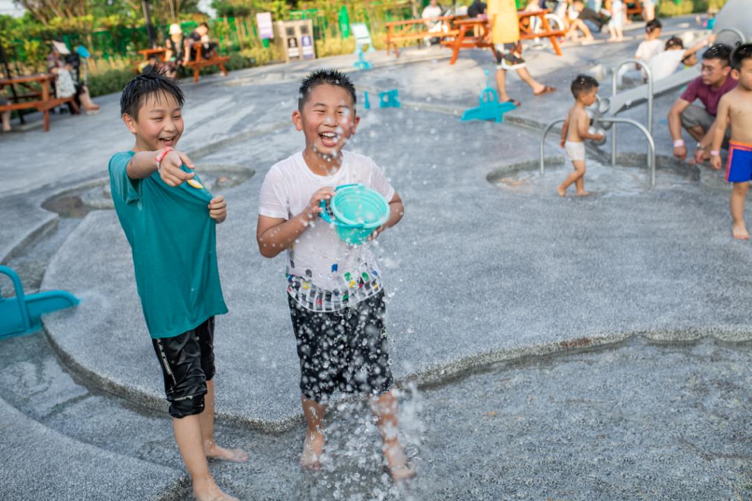 上海最大薰衣草公园,上海薰衣草公园迪士尼