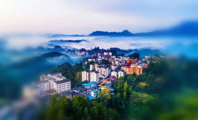 重庆南川金佛山自驾游图片,重庆金佛山自驾游最佳路线