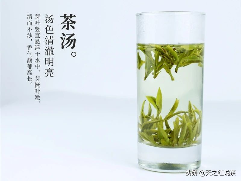 喝春茶的人生感悟,喝春茶的意境诗句