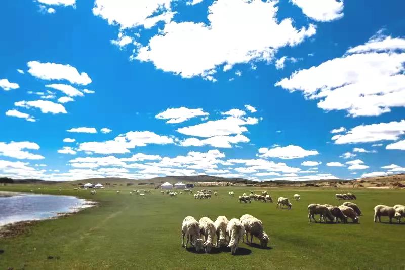 锡林浩特自然景观,锡林浩特市发展战略