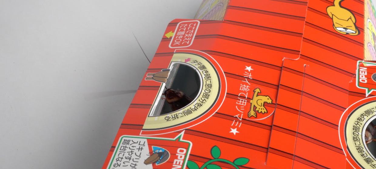 家中有蟑螂怎么一网打尽,家中发现一只蟑螂怎么办