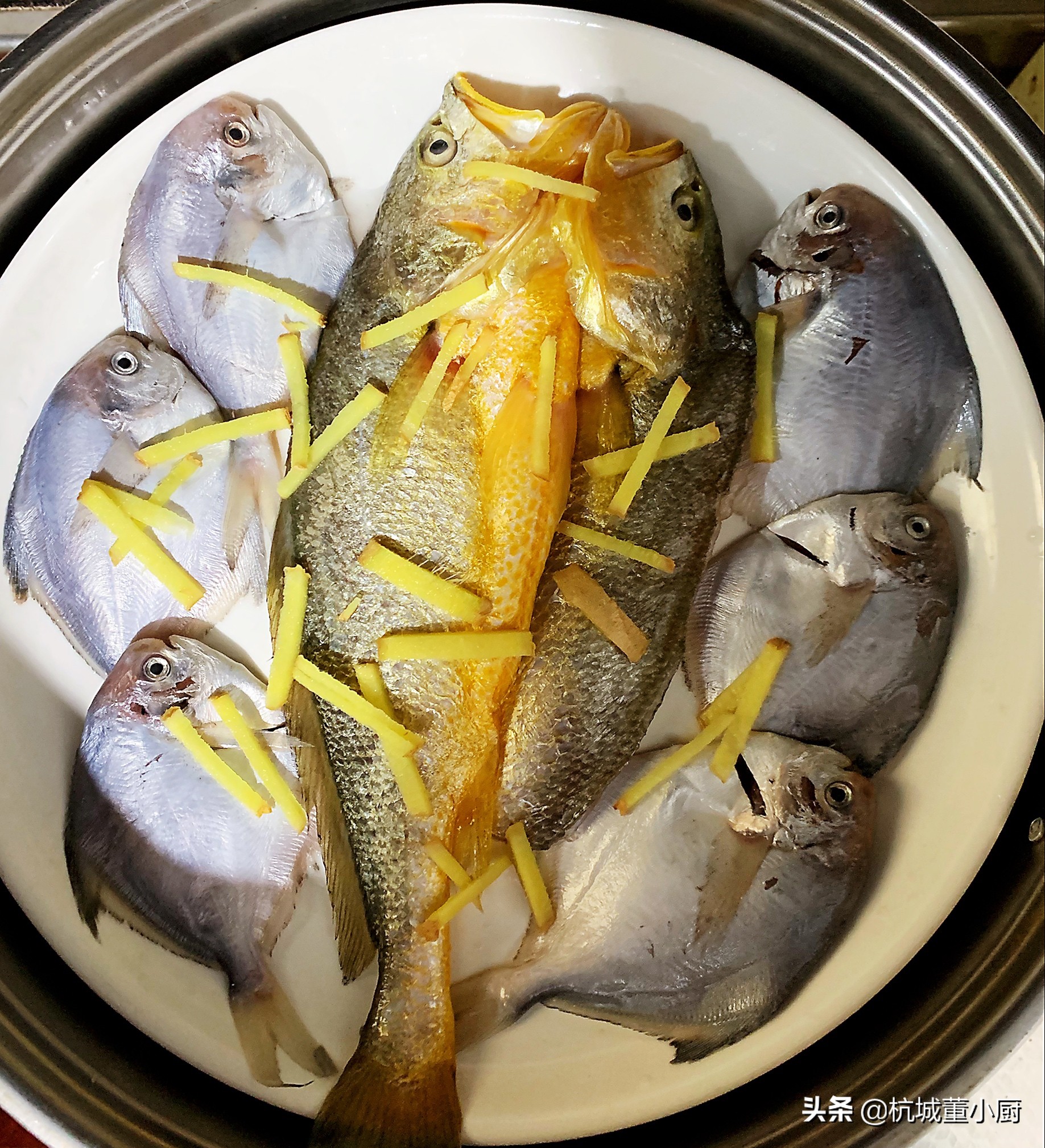 鲳鱼好吃还是黄花鱼好吃,黄花鱼和鲳鱼哪个更适合清蒸