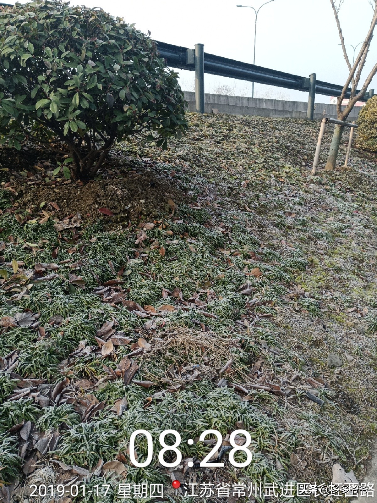 武进嘉泽夏溪小学,江苏省常州市武进区夏溪小学