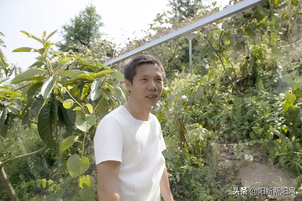 阳新县新闻,湖北鄂州阳新新闻