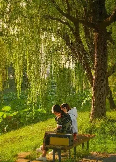 权威发布|苏州托普信息职业技术学院2021统招报考指南