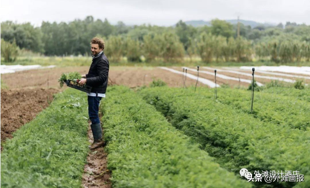 酒店白马庄园,lv白马庄园