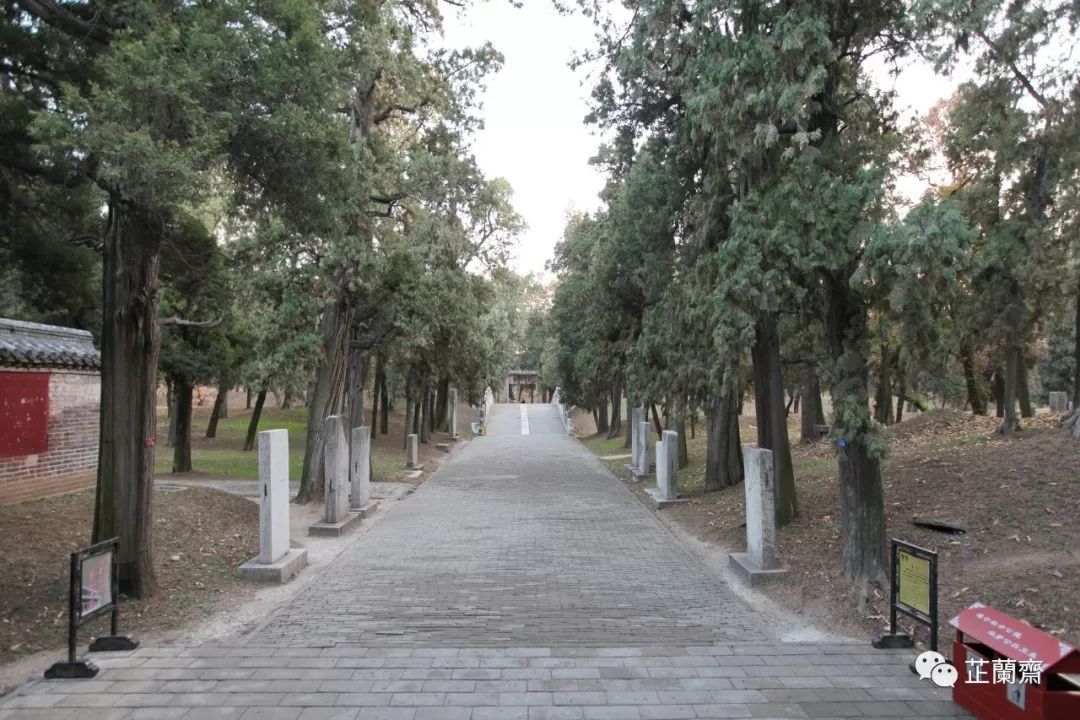 孔林各个时代的墓葬,孔林埋葬孔子家族墓葬多少座