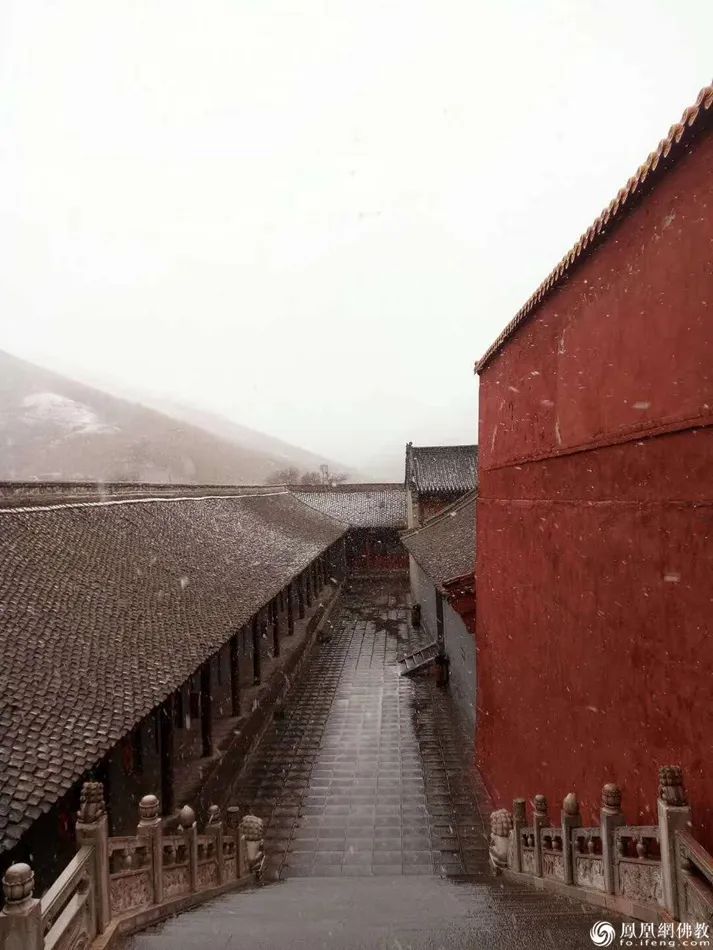 中国佛教四大名山江西龙虎山,中国佛教里的四大名山