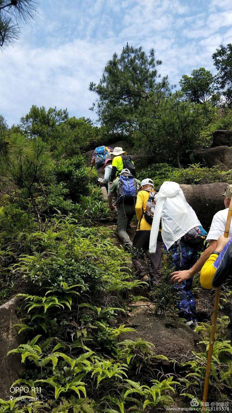 摩天石下再续罗山缘--6.16大罗山印记