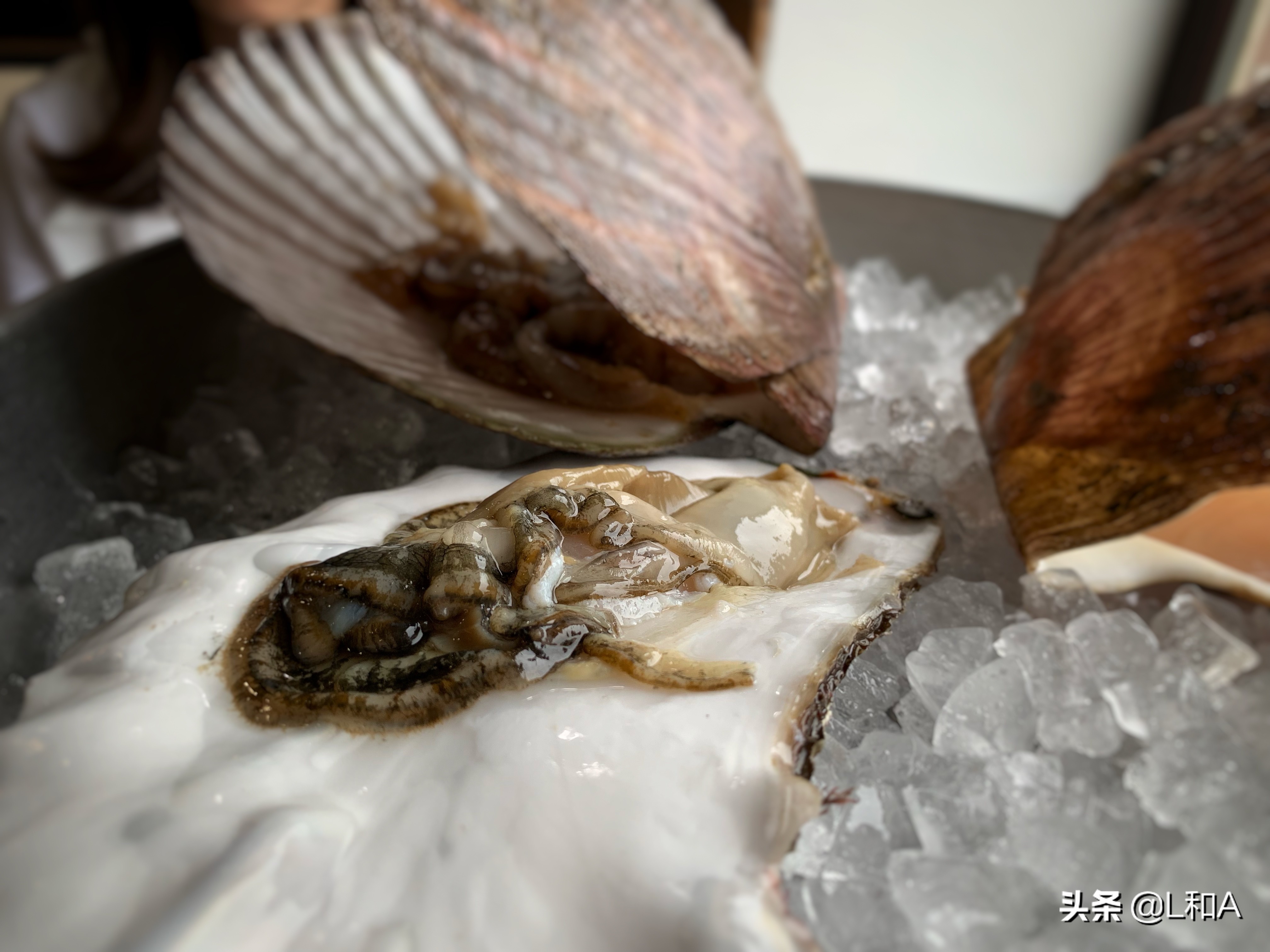 海参崴超市帝王蟹,海参崴帝王蟹地址