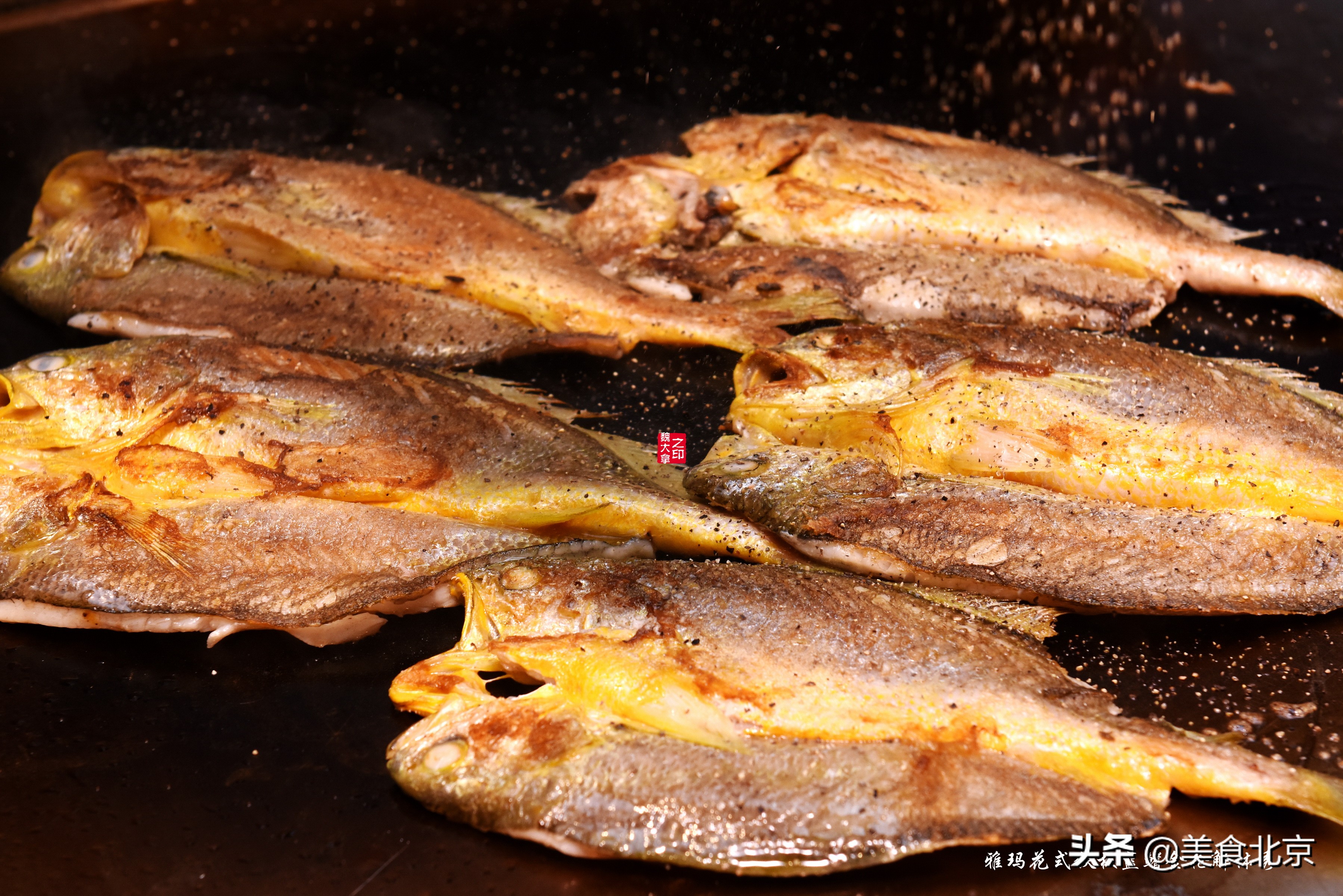 蓝鳍金枪鱼开鱼秀,深海捕蓝鳍金枪鱼