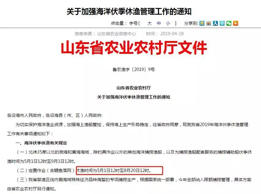 日照未来可期最新消息,日照即将有大变化