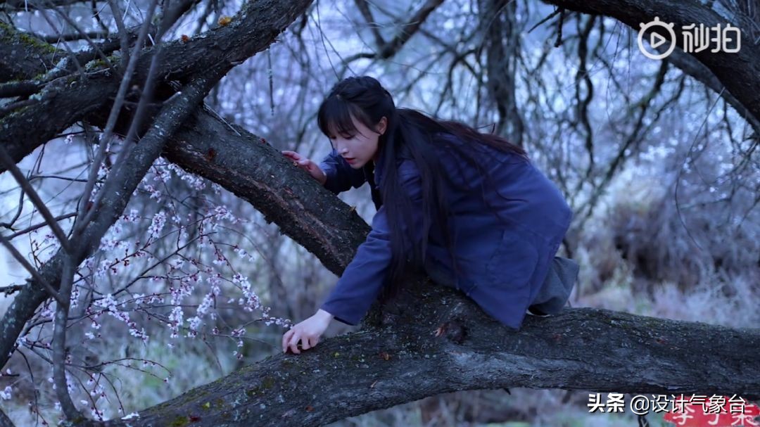 李子柒生活大揭秘,多少人羡慕李子柒的生活