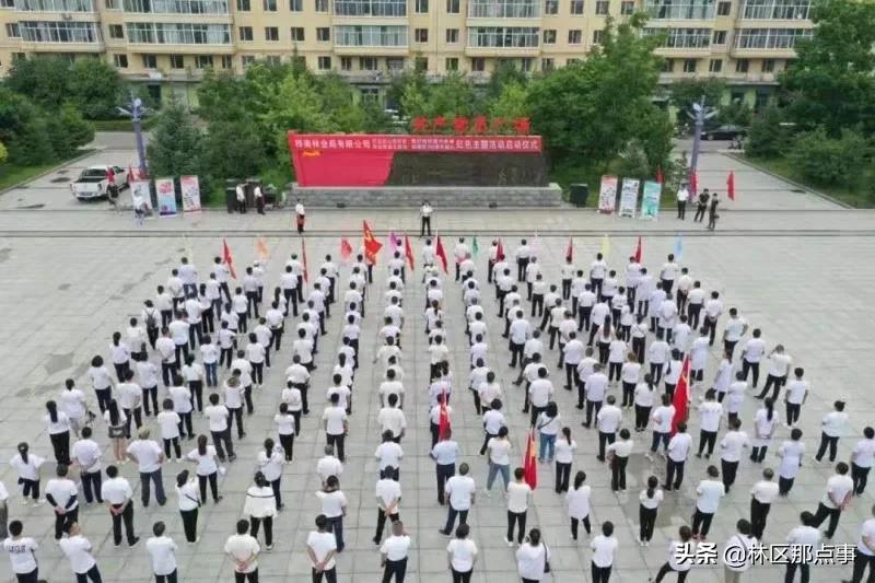 桦南林业局有限公司荣获“全国文明单位”荣誉称号