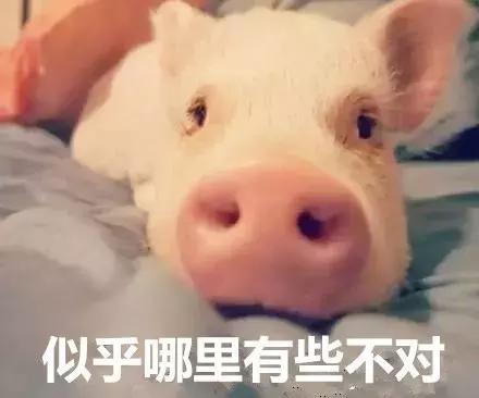 补脑不能吃什么,补脑别只会吃核桃