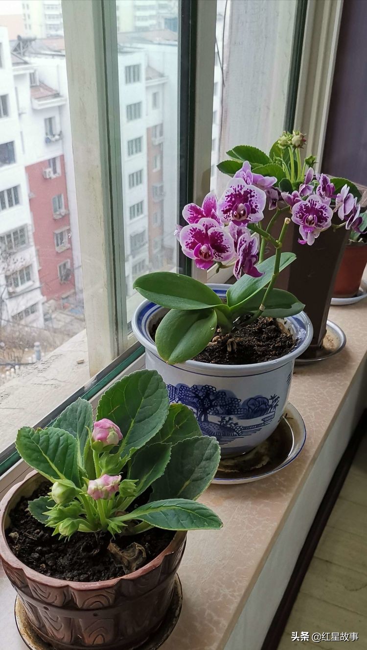 追忆我的父亲母亲,怀念我的父亲和母亲