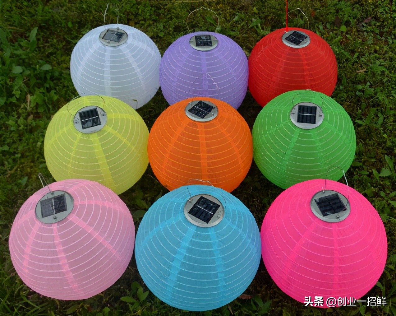 打着灯笼也难找的年轻人,10个冷门小本创业项目