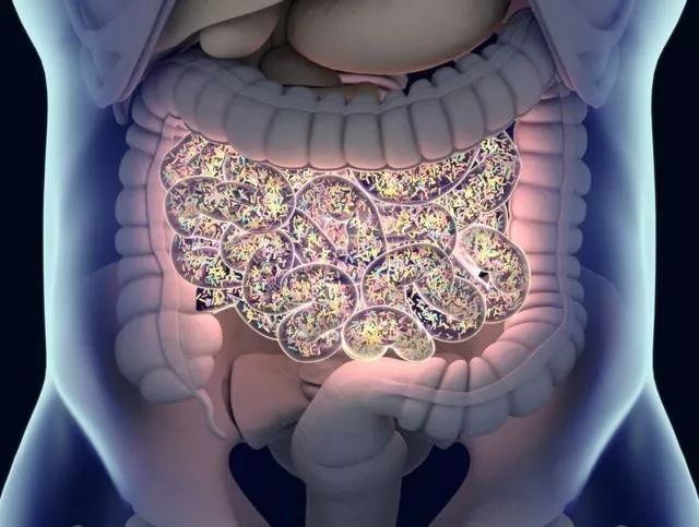 这种息肉，十有八九会癌变！医生呼吁：千万别小病拖成大病