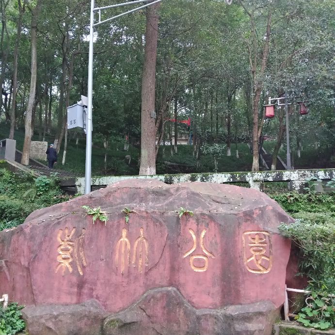 去安岳玩最该去什么地方,四川安岳有什么好玩儿的