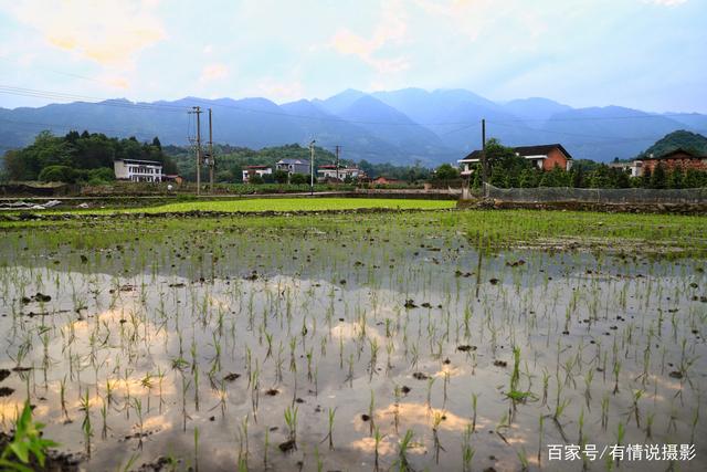 五一旅拍途中,我竟然在这山里当了“耕夫”
