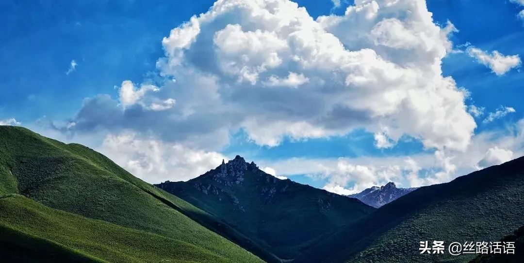 春暖花开等你来赏花,春暖花开等你来赏花原唱视频