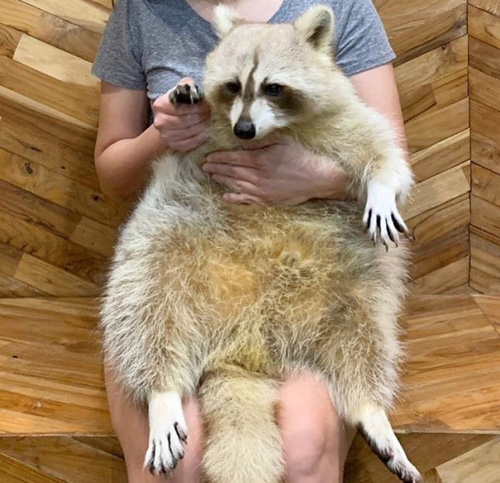 去泰国旅游需要做好哪些攻略,去泰国旅游一定要去这几个地方