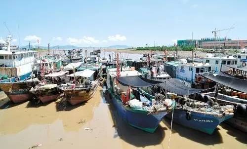 台山那琴半岛地质海洋公园门票,台山那琴湾半岛攻略