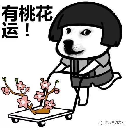 星座娱乐:幸运之神降临,还给狮子座准备了“礼物”?