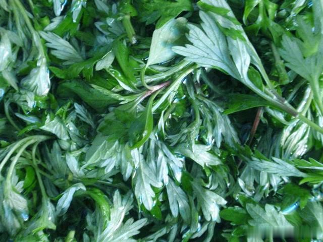 七年之病求三年之艾的本意,七年之病求三年之艾原文